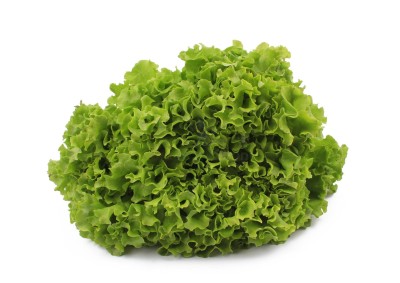 Салат романо 1 кг - купить в Кононовском