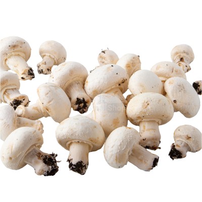 Шампиньоны свежие 500 г - купить в Кононовском